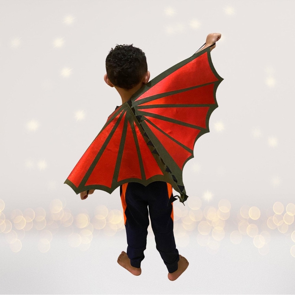 Dragon Wings Kids Costume